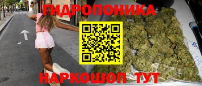 твердый Новодвинск