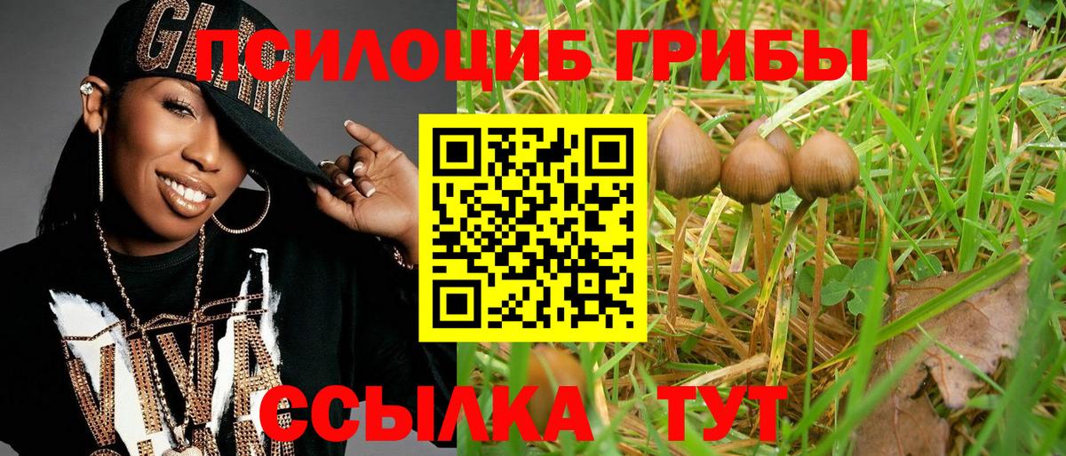 Псилоцибиновые грибы мухоморы Сыктывкар