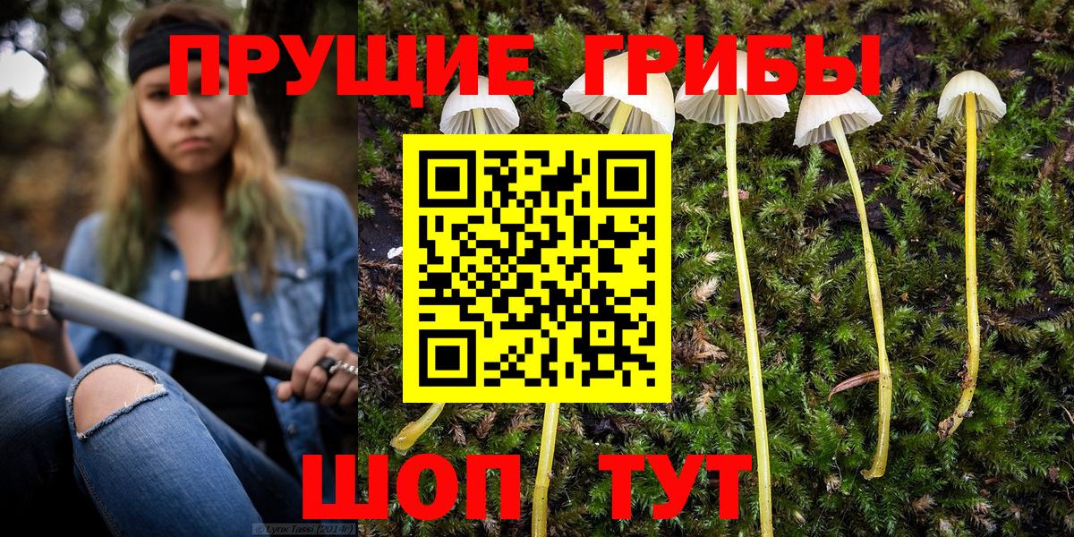 как найти   Галлюциногенные грибы Cubensis  Вход с VPN  Сыктывкар 